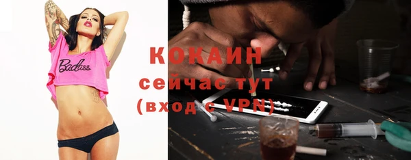 шишки Баксан
