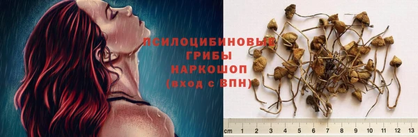 СК Арсеньев