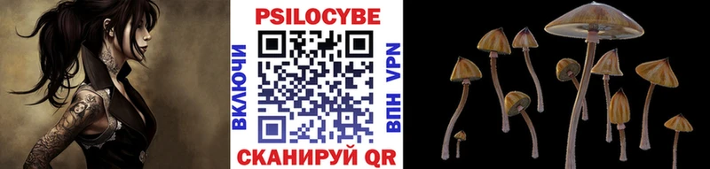 Псилоцибиновые грибы MAGIC MUSHROOMS  блэк спрут зеркало  Мичуринск 